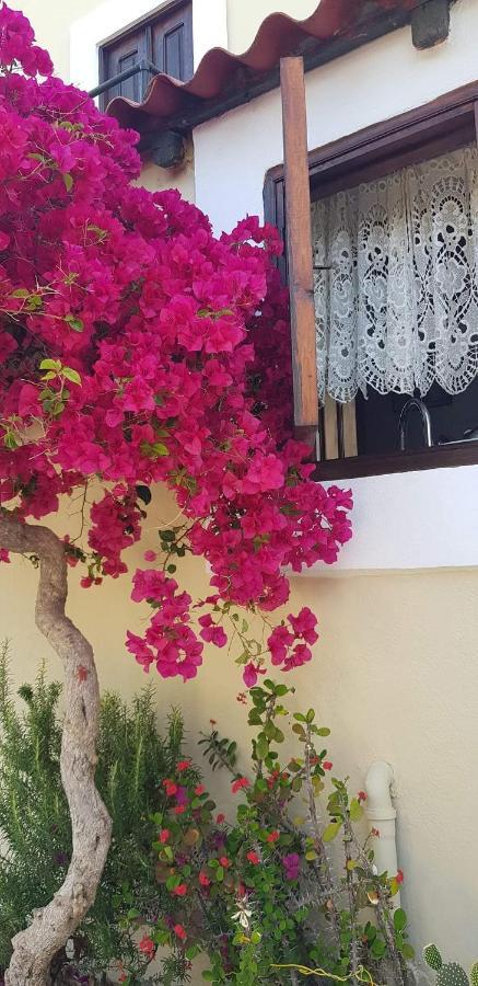Yiayia'S Home Chalki Town 외부 사진